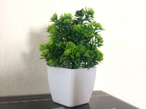 Green Tree Pot For Home Decoration ❤️