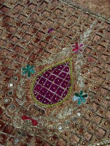 Beautiful Embellished Saree