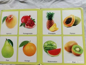 Bright &amp; Bold “My Big Board Book: FRUITS”