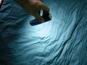 Branded Nippo Handy Torch