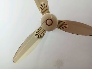 Cream Ceiling Fan