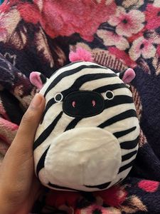 tracey the zebra