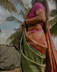 Elegant Indian Saree