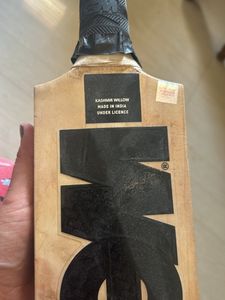 Original Kashmir Willow