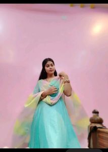 Elegant Anarkali