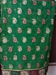 beautiful net saree with blouse