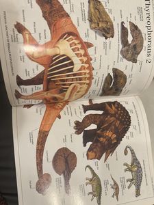 DK Ultimate Visual Dictionary