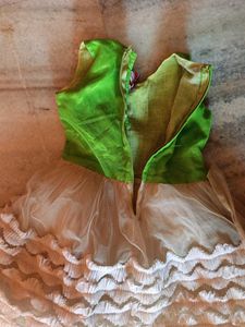 Floral Applique Dress
