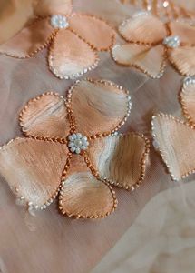 Peach Embellished Saree