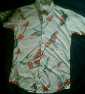 Men Shirt