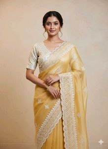 Beautiful Saree✨