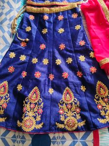 Blue Embroidered Lehenga Choli