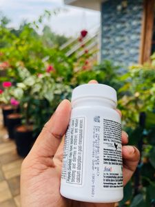 Forever Fields Of Green