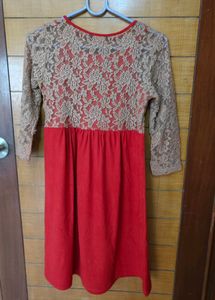 AND Rust Suede Dress