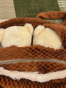 TeadyBear Side Bag