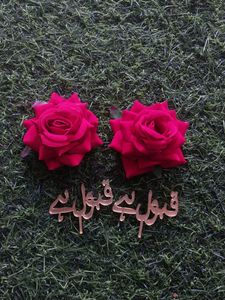 Red ROSE &amp; Qubool Hai TAG IN Arabic