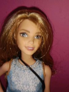 Barbie Doll The Rare Fashionista