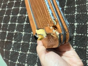Charles And Keith Wallet/sling