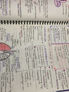 Notes + Note Making Copy