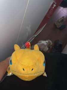 Pokemon Soft Toy (from USA)