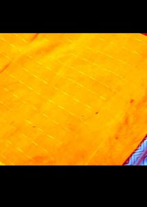 Kanjivarm Silk Saree 2