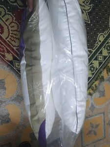 Portico Celebration Pillow pack of 2