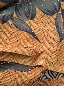 Saree With  Out  Blouse