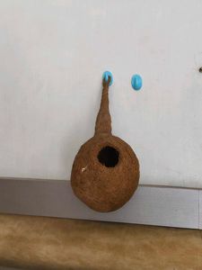 Hanging Bird Nest