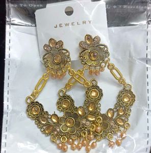 Earrings