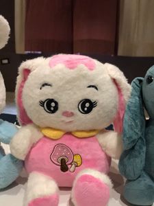 Bunny Plushie Set
