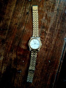Timax Vista Watch