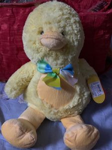 Baby Duck 💛