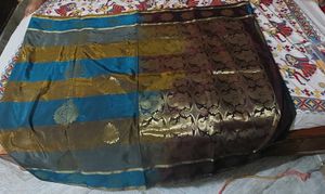 Elegant Saree Without Blouse