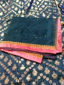Elegant Lehenga Choli Set