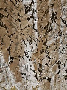 Ajio Elegant Long Sleeve Lace Top