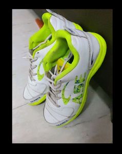 Criket Shoe ASE Green colour!