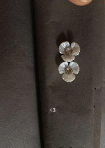 We Are Selling Earrings