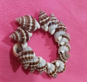 Seashell Bracelet