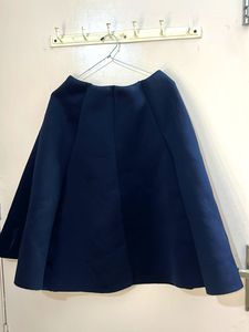 Navy Blue Skirt