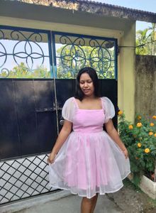 Customized Organza Mini Dress