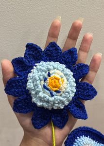 Crochet Van gogh Flower