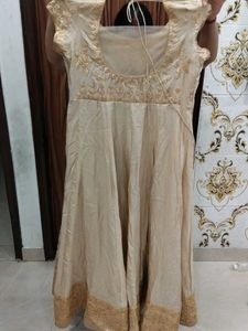 Elegant Ethnic Gown