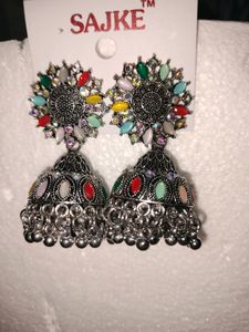 Multicolored Earrings