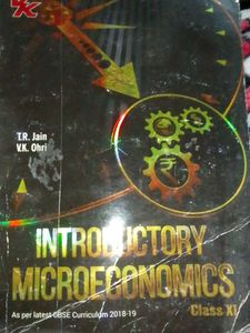 Introductory Microeconomics