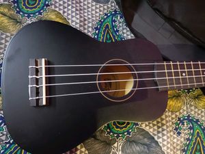 Intern Ukulele with Case