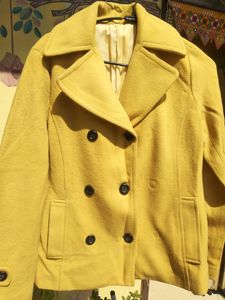 Winter Coat