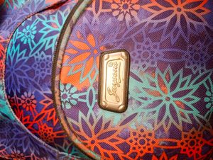 Branded Bagpack For Women.