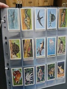 Vintage Collectible Cards
