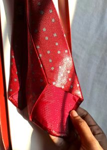 WALKFIELD Exclusive Tie For Men: Brand New