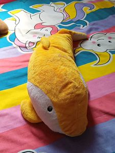 Soft Dolphins🐬